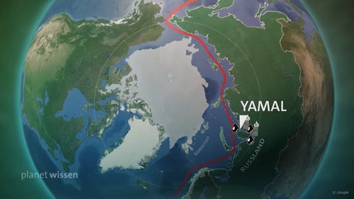 Grafik: Der Norden der Weltkugel mit Grönland, dem arktischen Meereisschild. Eingezeichnet ist auch der Hafen von Yamal (Russland).
