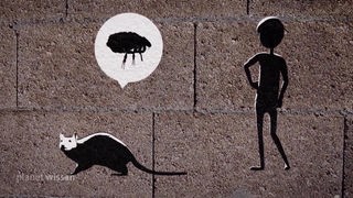 Grafik: Auf einer Mauer sind eine Ratte, ein Floh und ein Mensch als Schattenriss abgebildet.