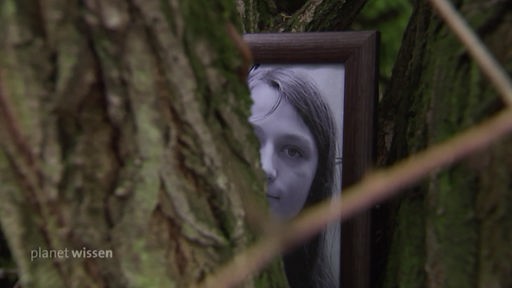 Eingerahmtes Bild eines Teenagers, welches leicht von einem Baumstamm verdeckt wird.