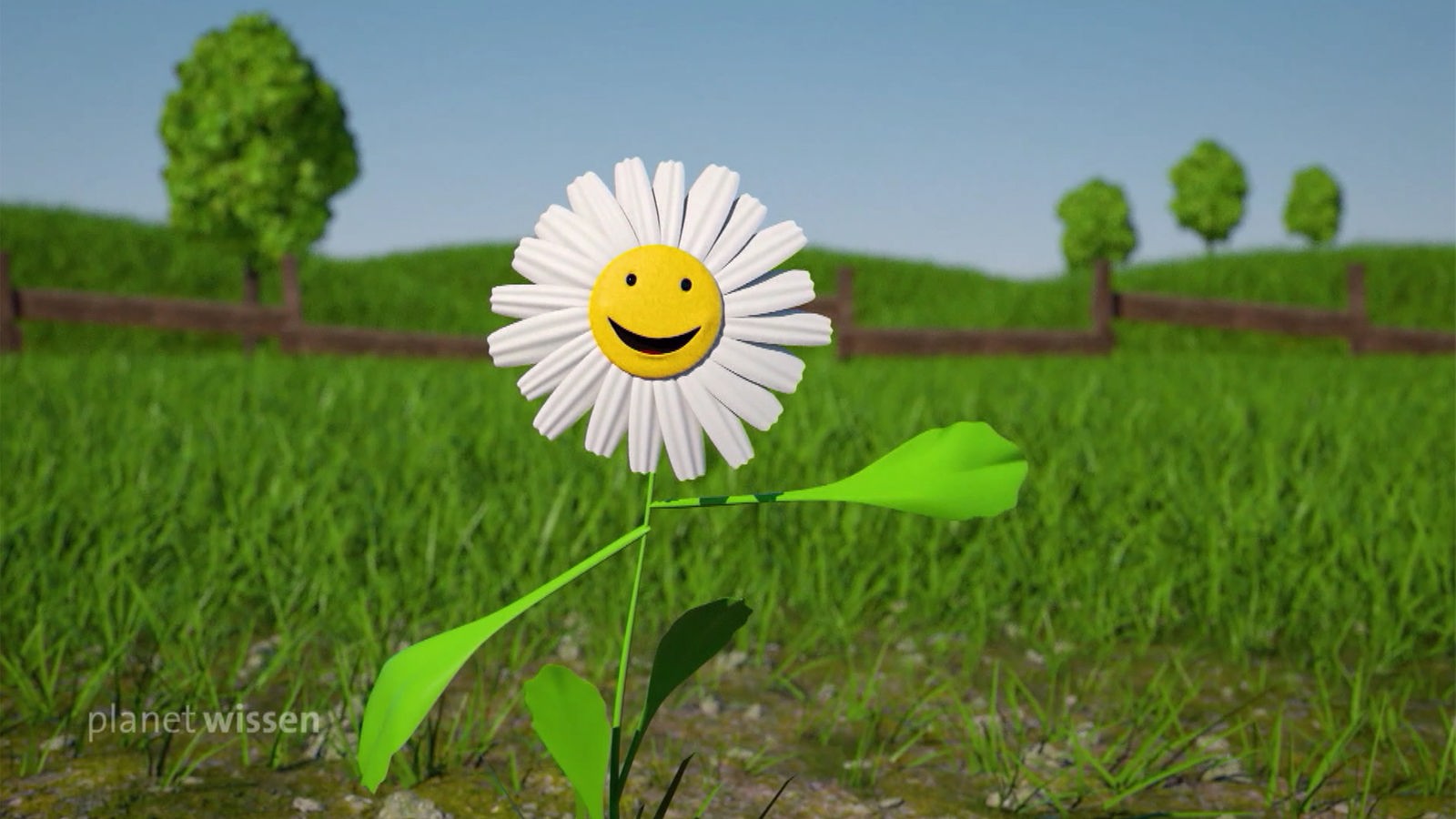 Animationsgrafik: Eine Blume mit lächelndem Gesicht steht auf einer Wiese.