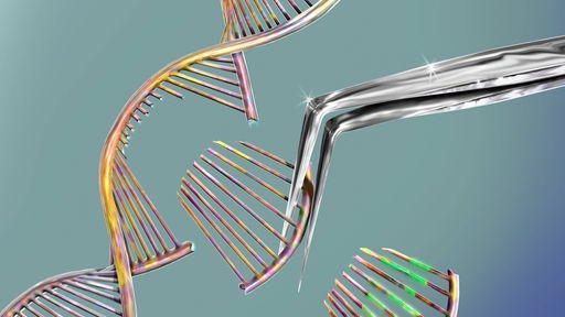 getrennte DNA Spirale .