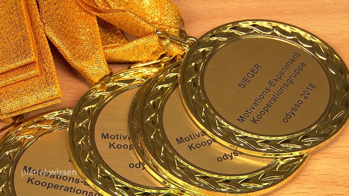 Sieger-Medaillen des odysso Motivationsexperiments