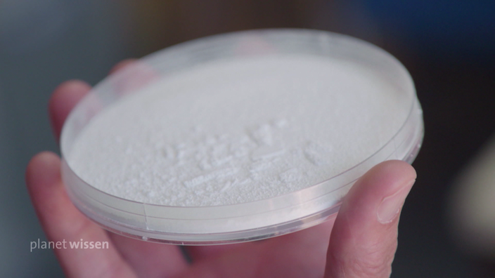 Eine Hand hälz eine Petrischale, in der weißes Lithium den Boden bedeckt.