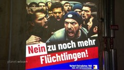 Ein Wahlplakat der AfD mit der Parole 'Nein zu mehr Flüchtlingen!'.