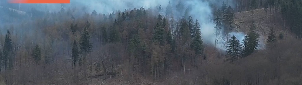 Aus einem Waldstück in Arnsberg steigt Rauch hervor