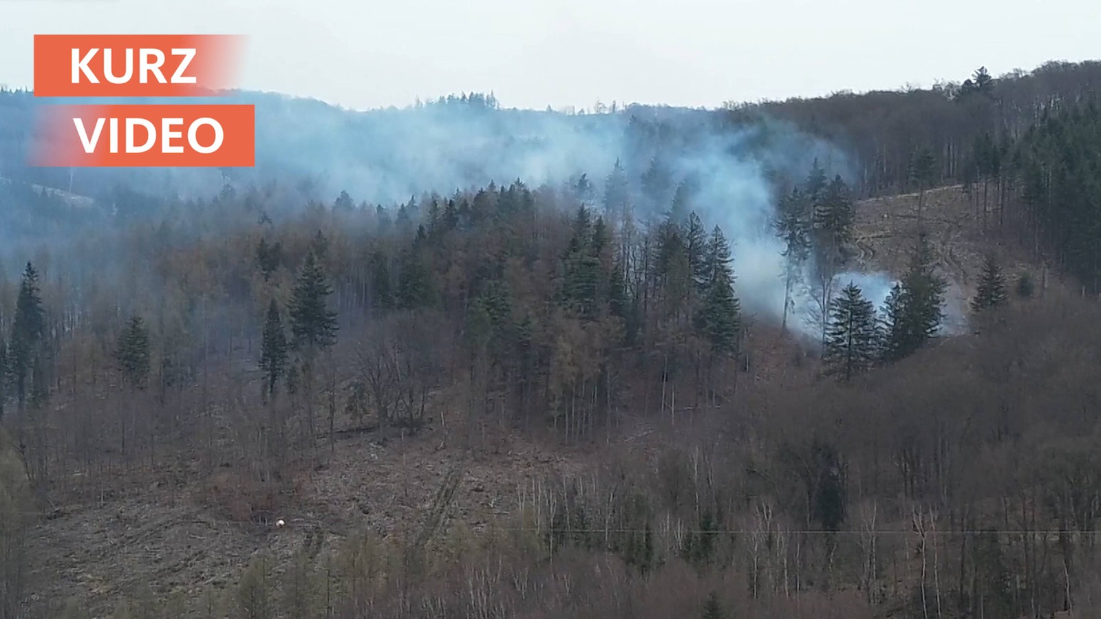 Großeinsatz für die Feuerwehr: Waldbrand in Arnsberg-Hüsten