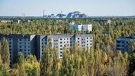 Aussicht auf Pripyat von einem 16-stöckigem Gebäude aus