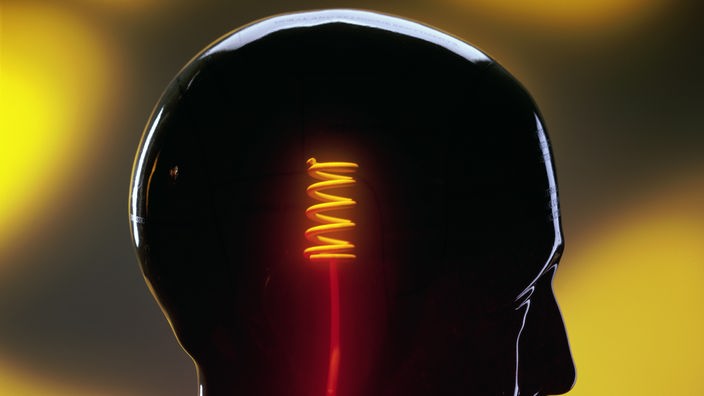Nachbildung eines menschlichen Kopfs im Profil. Von unten führt ein rotes Kabel in den Kopf, das in einer gelben Spirale endet.
