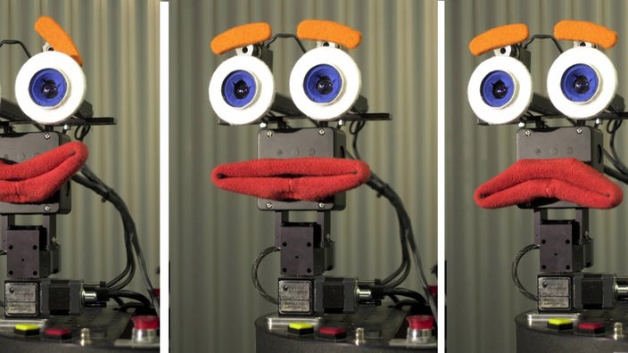 Das in mehrere Abschnitte unterteilte Bild zeigt den Kopf eines Roboters, der in jedem Abschnitt durch seine Mimik eine andere Stimmung audrückt.