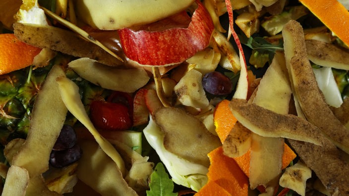 Bio-Abfälle wie Apfelschalen, Kartoffelschalen und Orangenschalen sowie Essensreste