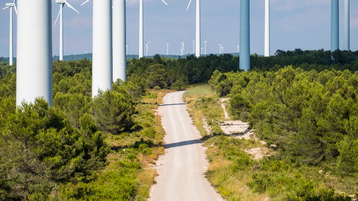 Viele Windkraftanlagen, in der Mitte eine Schotterstraße | Bildquelle: Mauritius/Carlos Sánchez Pereyra Viele Windkraftanlagen, in der Mitte eine Schotterstraße