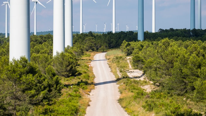 Viele Windkraftanlagen, in der Mitte eine Schotterstraße