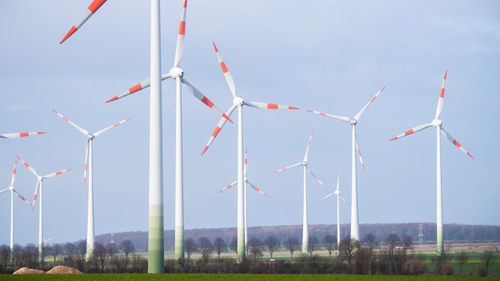 Zahlreiche Windräder stehen auf Feldern | Bildquelle: dpa Zahlreiche Windräder stehen auf Feldern