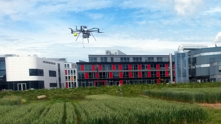 Quadrokopter fliegt über ein grünes Maisfeld | Bildquelle: Dr. Lasse Klingbeil Quadrokopter fliegt über ein grünes Maisfeld