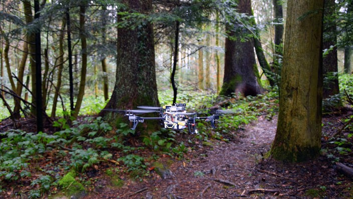Quadrokopter fliegt auf einem schmalen Waldweg