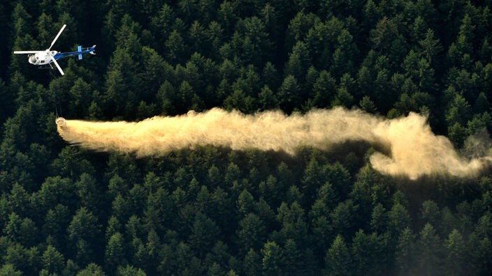 Ein Hubschrauber fliegt über einem Waldgebiet und lässt ein gelbes Pulver ab.
