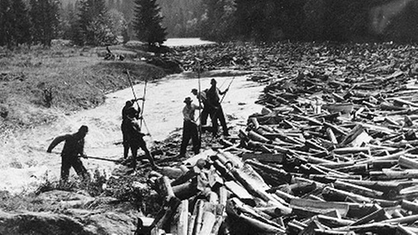 Historische Schwarzweißaufnahme: Flusslandschaft im Schwarzwald. Männer ziehen mit Stangen lose Holzstämme ins Wasser