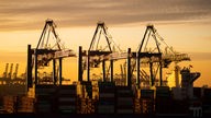 Ein Containerschiff wird im Hamburger Hafen entladen