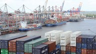 Blick über Container auf drei Schiffe, die an einem Terminal entladen werden