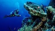 Taucherin in tiefblauem Wasser vor einem korallenüberwachsenen Wrack