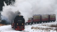 Ein Dampfzug der Harzer Schmalspurbahnen fährt durch den Schnee