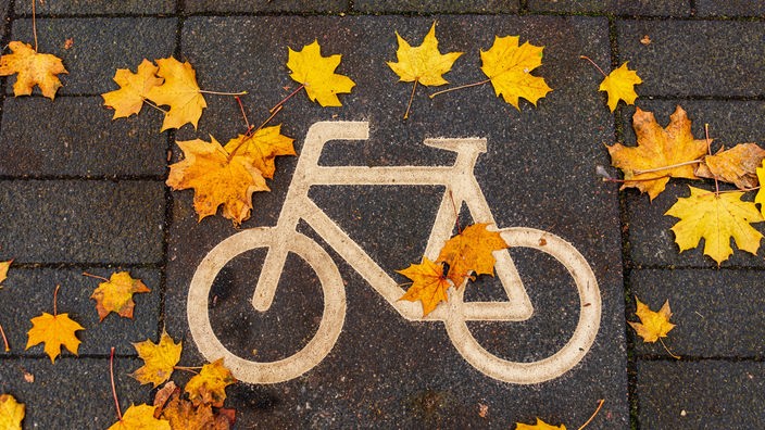 Fahrradweg-Zeichen auf dem Pflaster mit gelben Blättern.