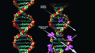 Von kosmischer Strahlung beschädigte DNA-Kette. 