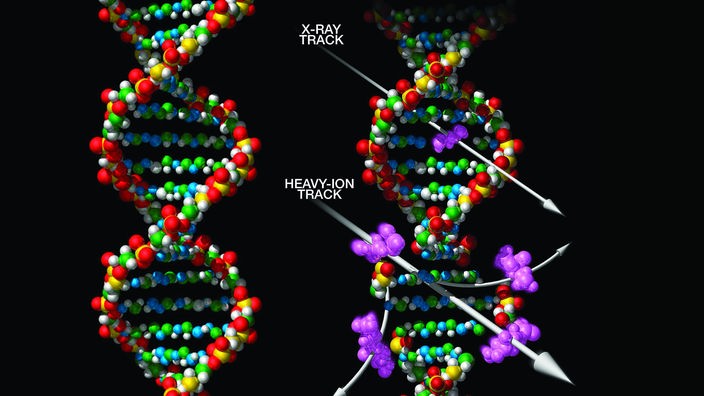 Von kosmischer Strahlung beschädigte DNA-Kette. 