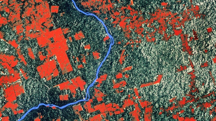 Falschfarbenaufnahme eines Satelliten. | Bildquelle: dpa Falschfarbenaufnahme eines Satelliten.