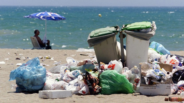 Plastikmüll liegt am Strand.