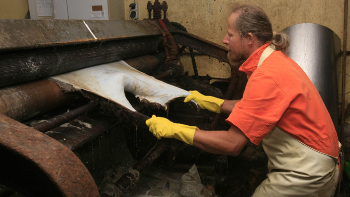 Ein Mann glättet an einer Maschine mit Walzen ein Tierfell.