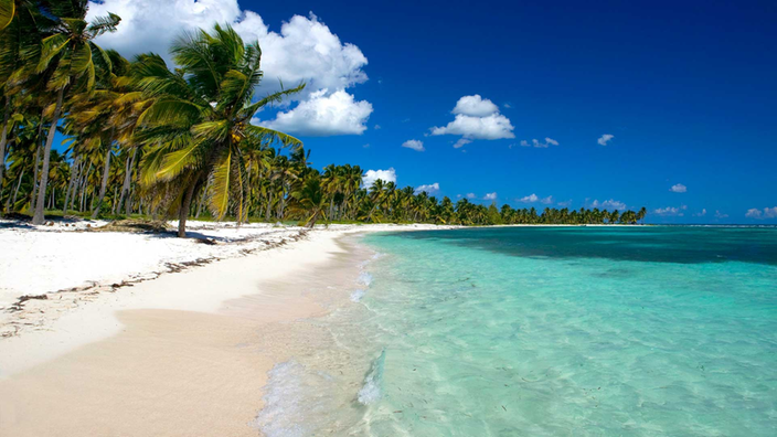 Von Palmen gesäumter Strand in der Karibik, Dominikanische Republik.