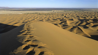 Spuren im Sand: Ein Dromedar hat im goldgelben Wüstensand große Fußspuren hinterlassen.