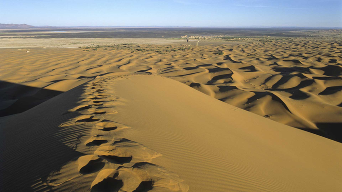 Spuren im Sand: Ein Dromedar hat im goldgelben Wüstensand große Fußspuren hinterlassen.