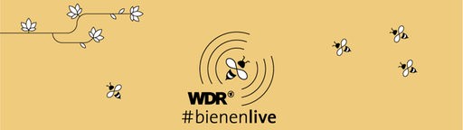 Logo "WDR Bienenlive"